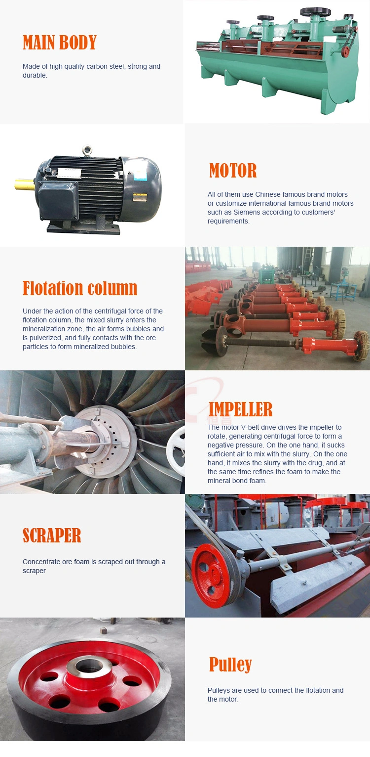 High Quality Xjk Series Flotation Machine for Lead Beneficiation Plant in China with Good Price